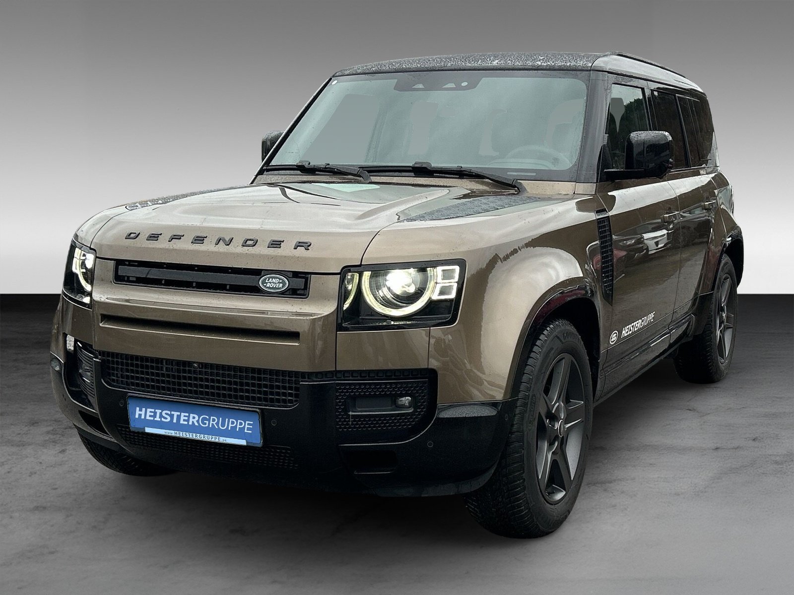 Land Rover Defender 110 D250 X-Dynamic SE+AHK+Winter-Paket