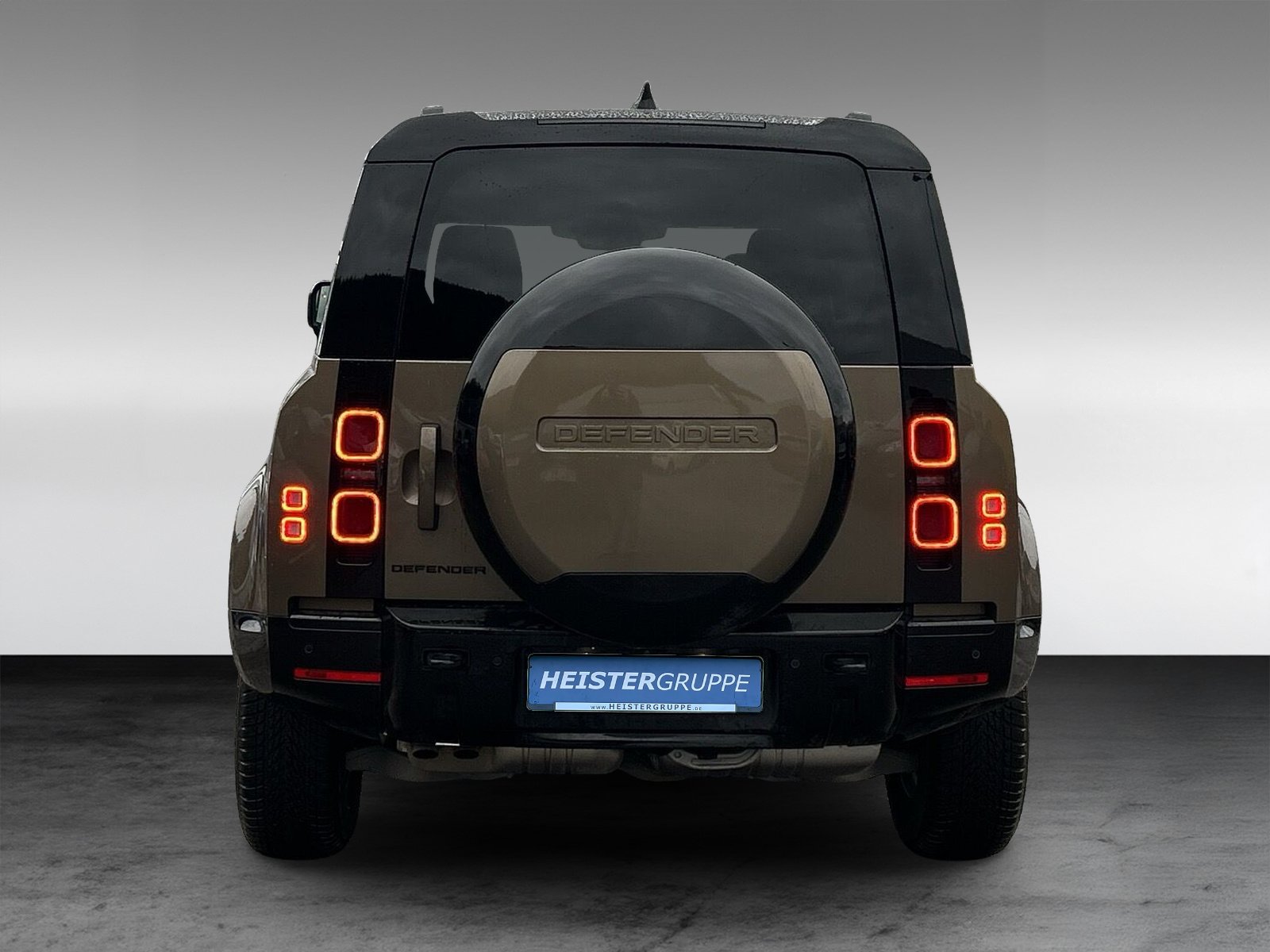 Land Rover Defender 110 D250 X-Dynamic SE+AHK+Winter-Paket