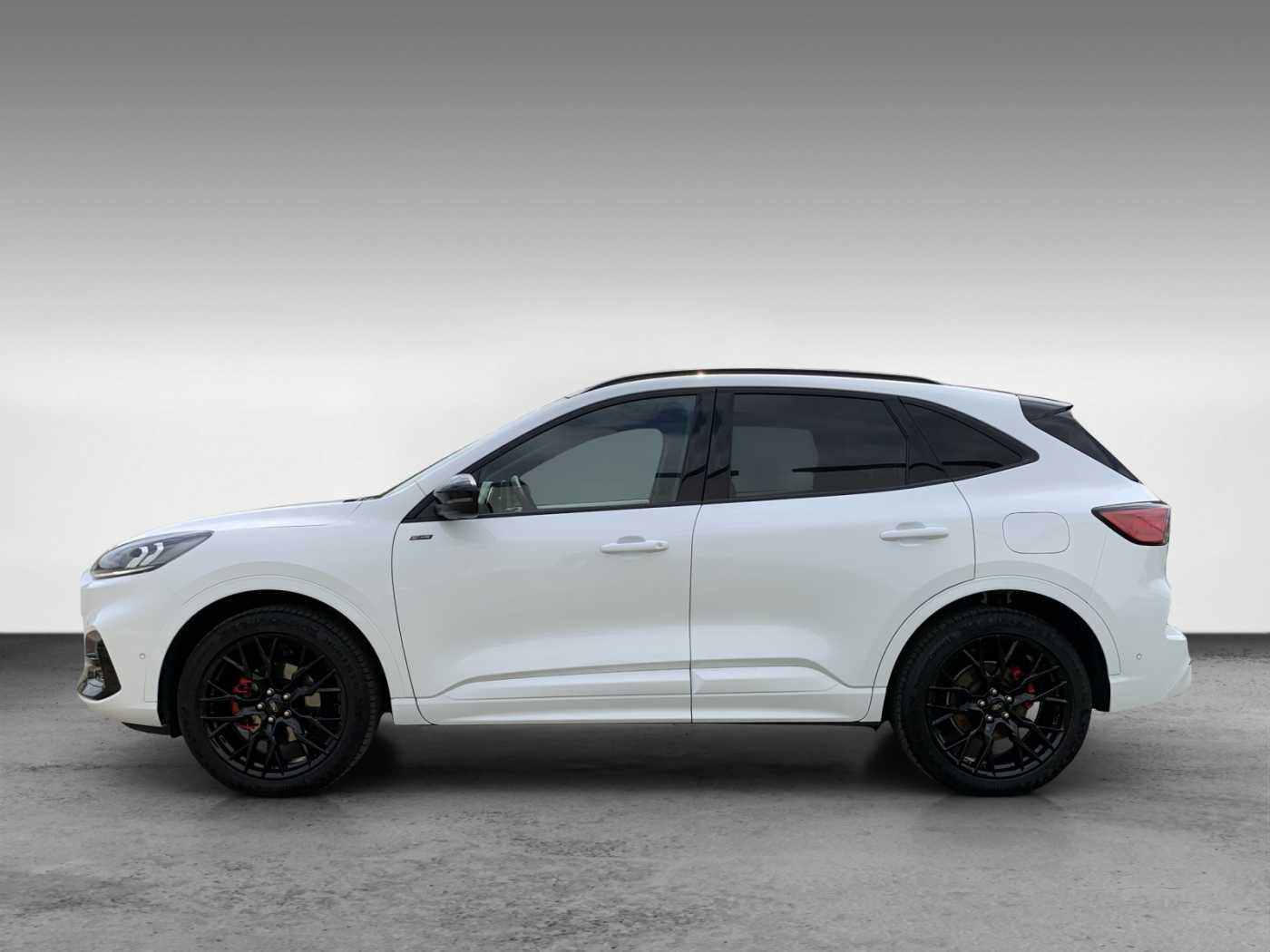 Ford Kuga 2,0 Ecoblue ST-Line X 4x4 +Navi+HeadUp+B&O