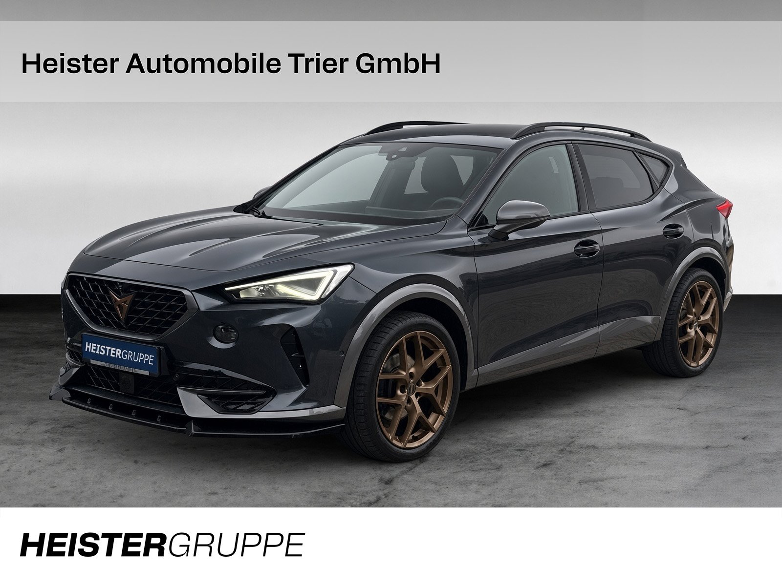 Cupra Formentor 2.0 TDI 4Drive + 360°