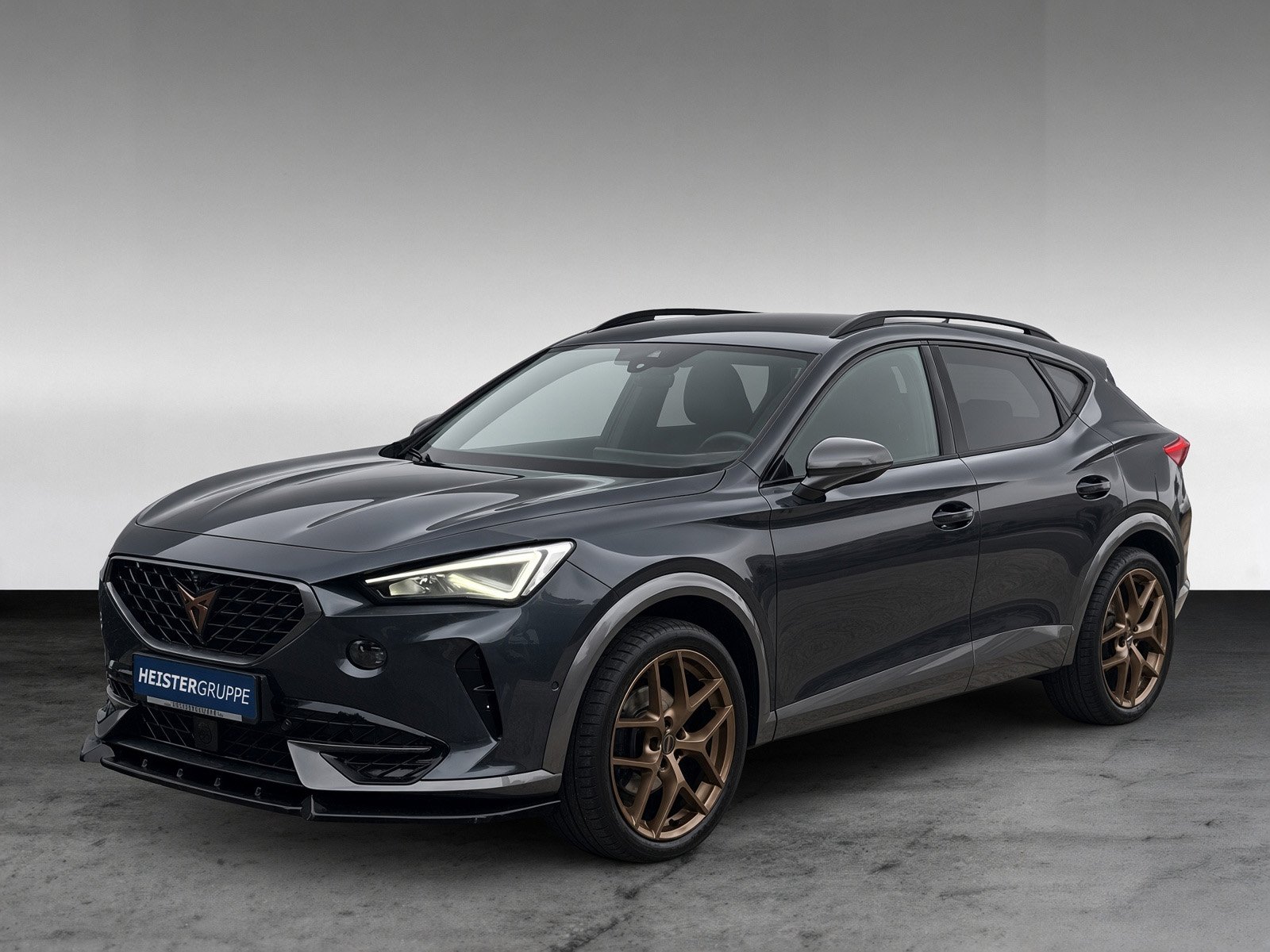 Cupra Formentor 2.0 TDI 4Drive + 360° Kamera + Winterpaket