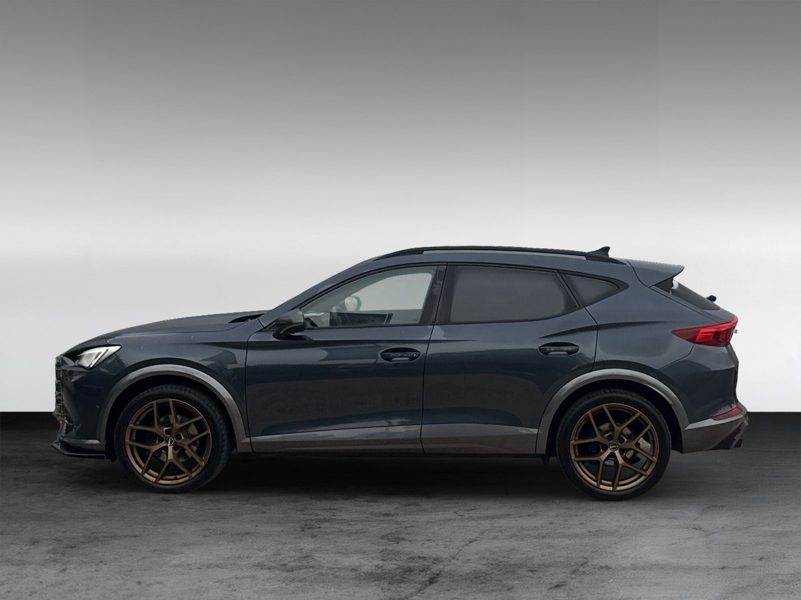 Cupra Formentor 2.0 TDI 4Drive + 360° Kamera + Winterpaket