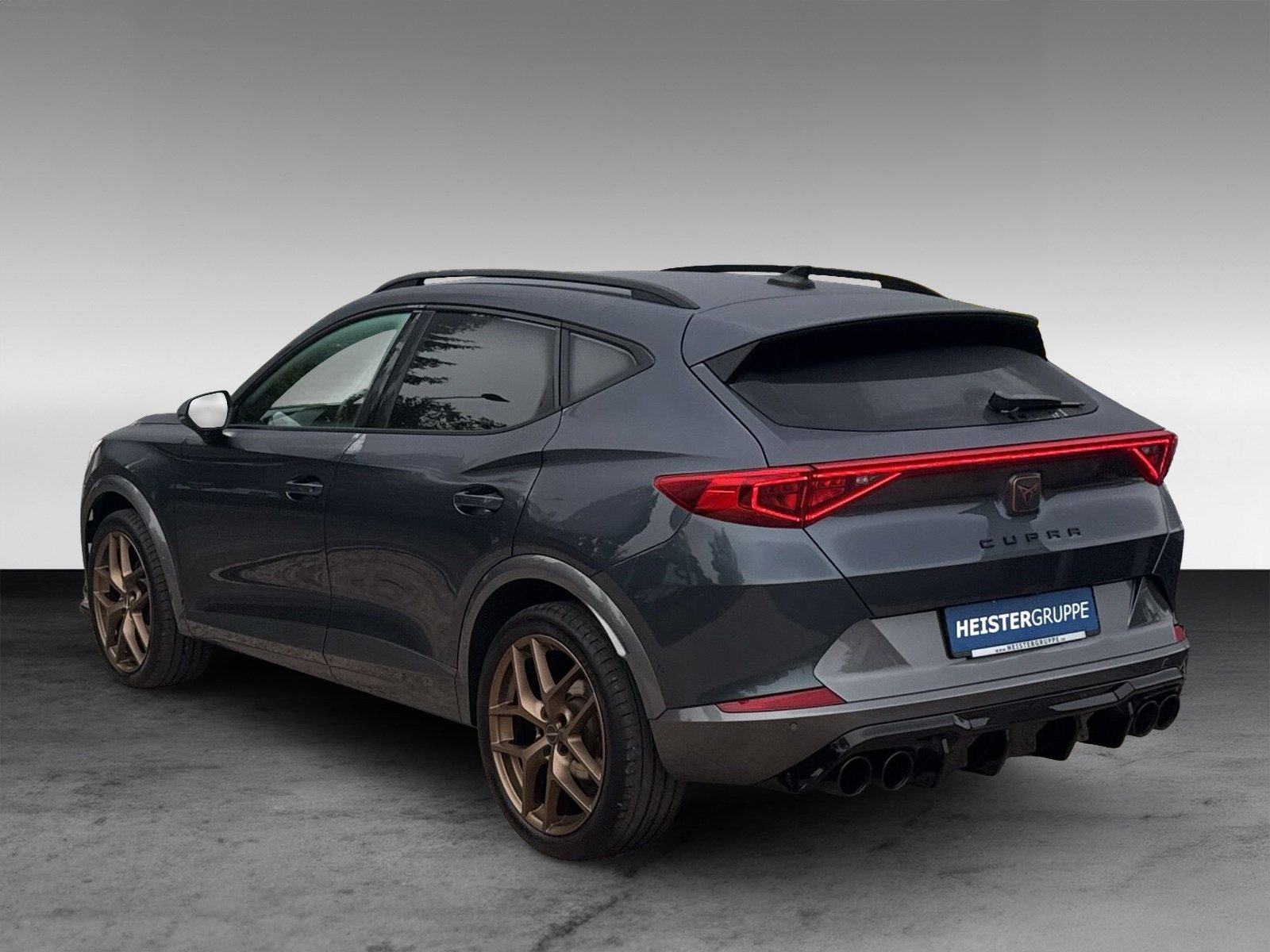 Cupra Formentor 2.0 TDI 4Drive + 360° Kamera + Winterpaket