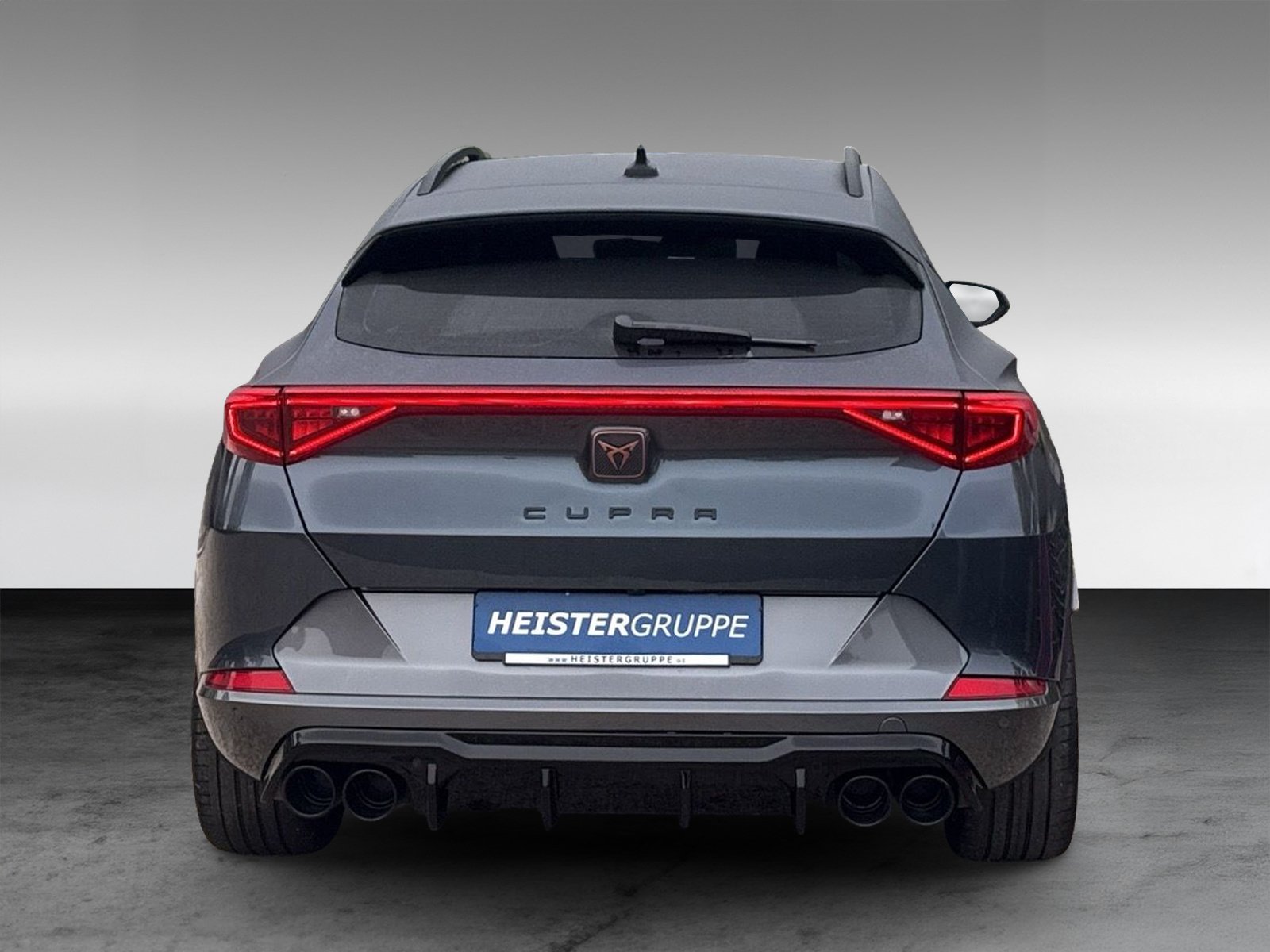 Cupra Formentor 2.0 TDI 4Drive + 360° Kamera + Winterpaket