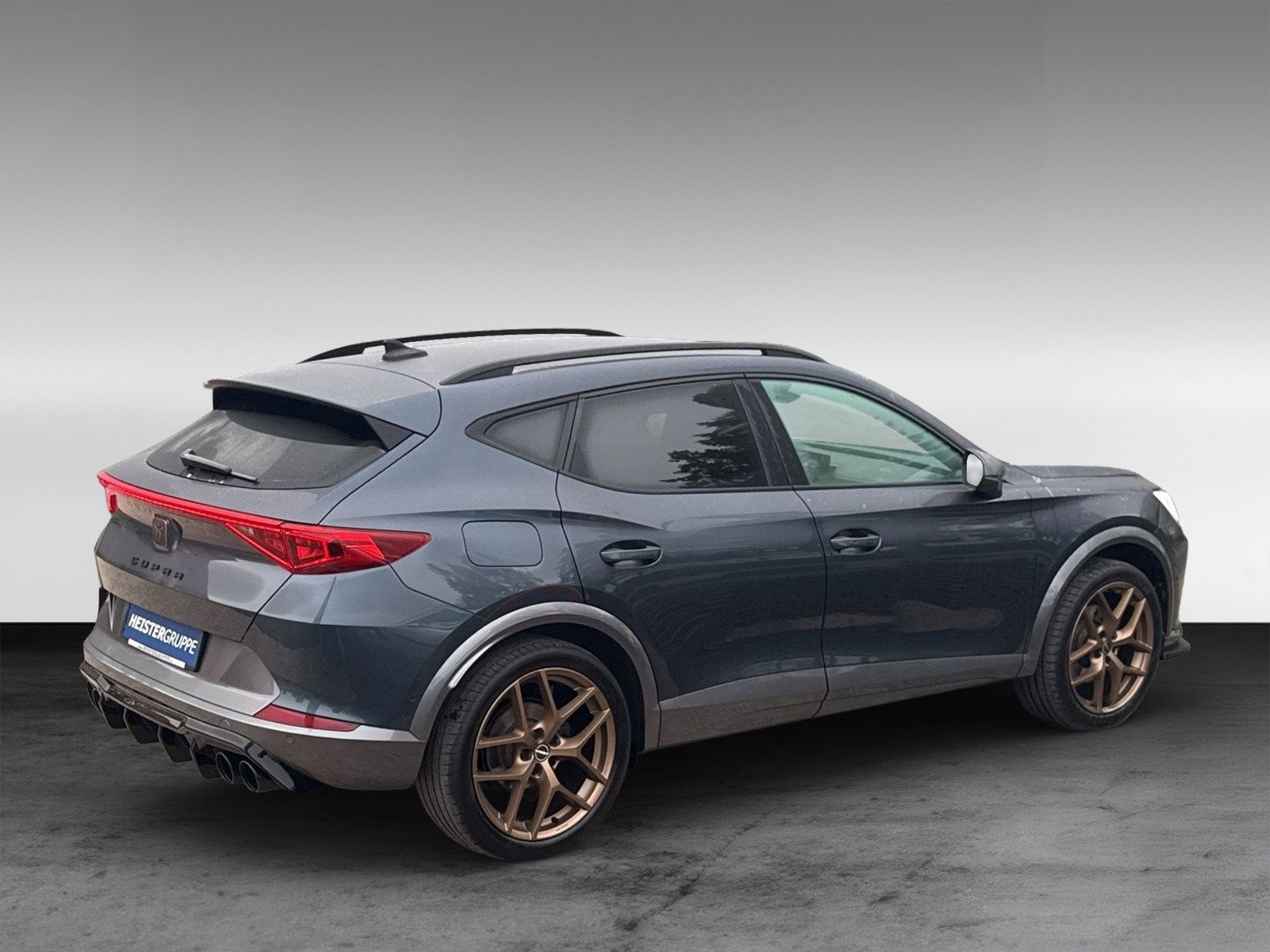 Cupra Formentor 2.0 TDI 4Drive + 360° Kamera + Winterpaket