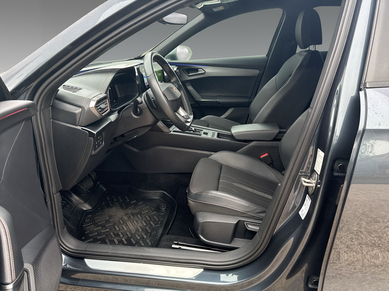 Cupra Formentor 2.0 TDI 4Drive + 360° Kamera + Winterpaket