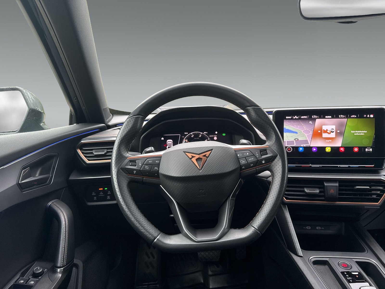 Cupra Formentor 2.0 TDI 4Drive + 360° Kamera + Winterpaket