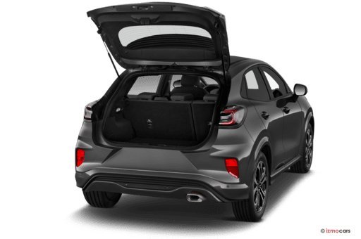 Ford Puma 1.0 EcoBoost ST-Linie Rückfahrkamera, ACC