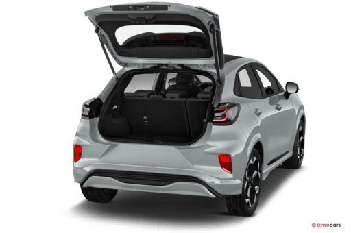 Ford Puma 1.0 EcoBoost ST-Linie Rückfahrkamera, ACC