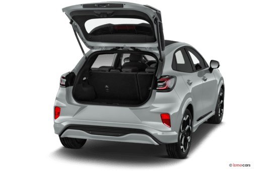 Ford Puma 1.0 EcoBoost ST-Linie Rückfahrkamera, ACC